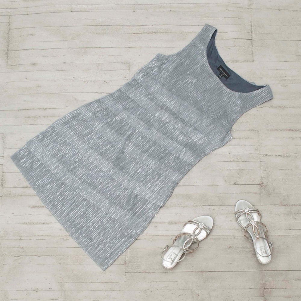 HOST PICK❤️NWT Silver Chiffon Layered Party Dress